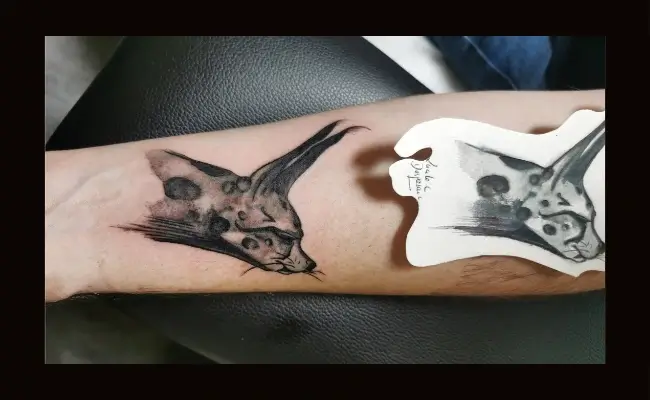 Tatouage portrait de chat réaliste - Espascenic