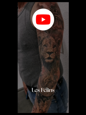 Tatouage félin – montage